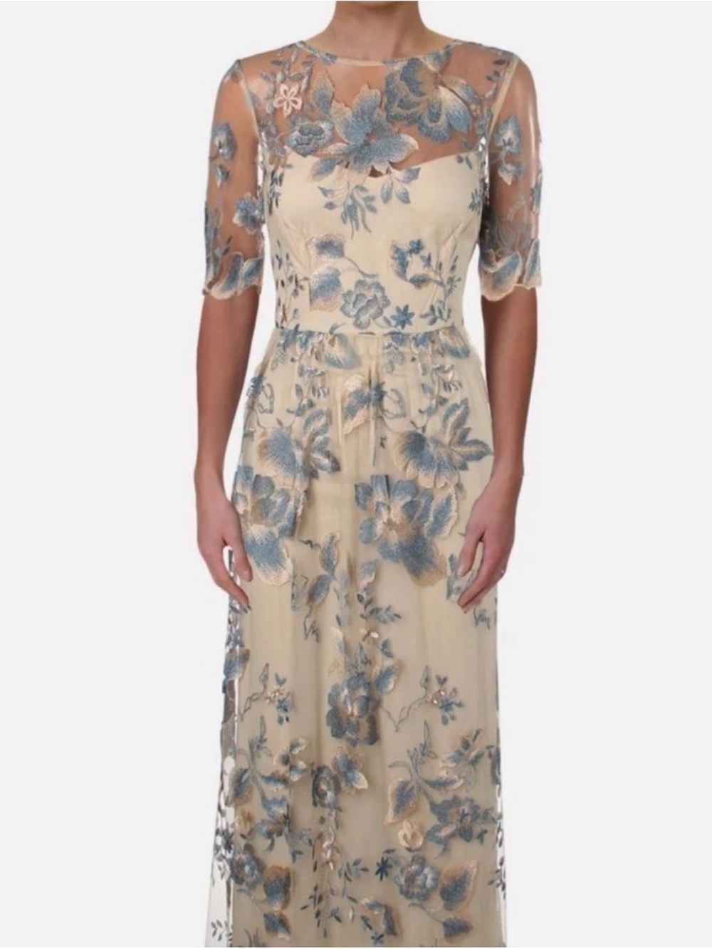 Adrianna Papell Blush Maxi Dress with Silver-Blue Floral Embroidery - Picture 3 of 5